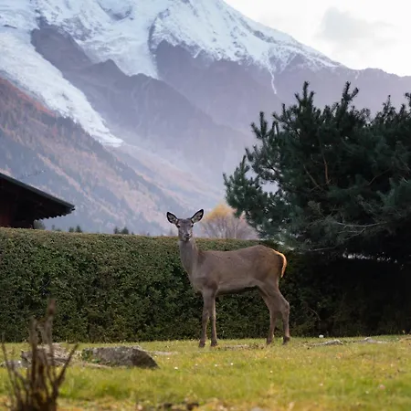 La Pagode, Vue Mont-blanc Et Jardin Prive Apartment *